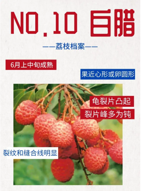 10.png