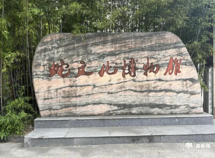 蛇1.png