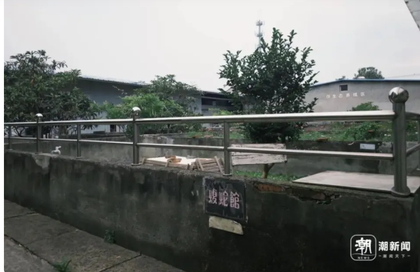 蛇4.png